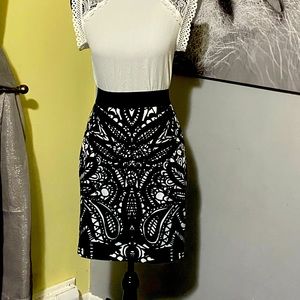 Express Pencil Skirt